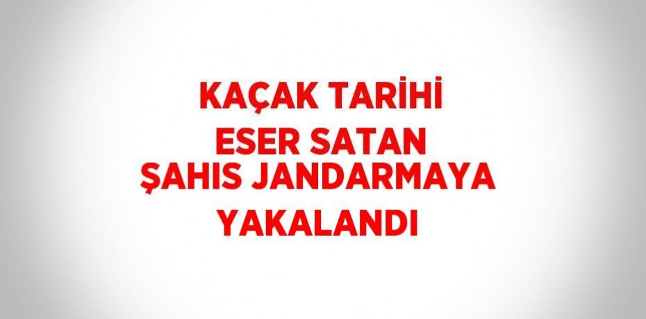 KAÇAK TARİHİ ESER SATAN ŞAHIS JANDARMAYA YAKALANDI
