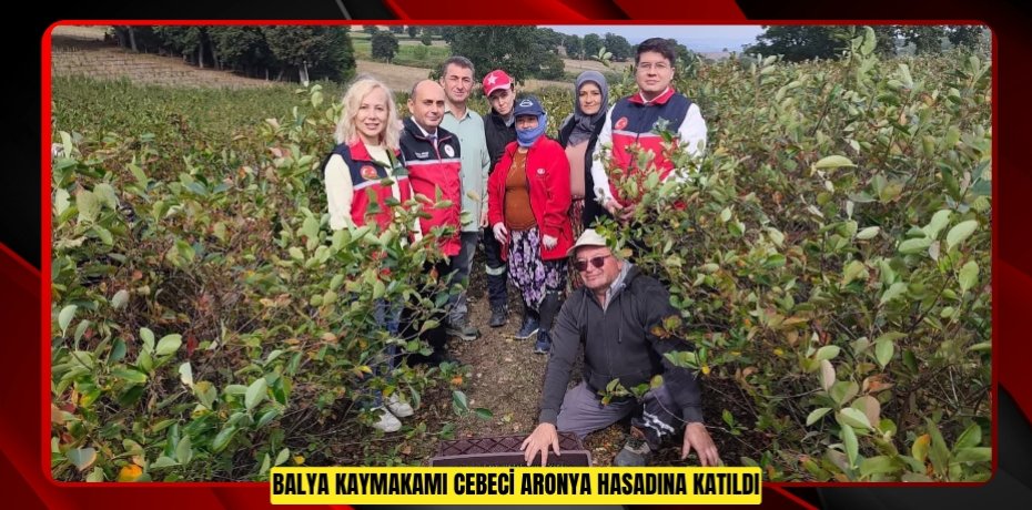 Balya Kaymakamı Cebeci aronya hasadına katıldı 