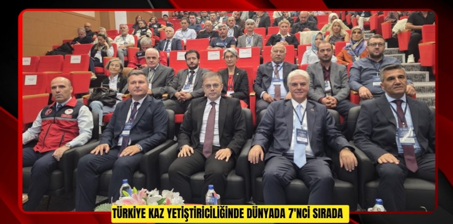 Türkiye kaz yetiştiriciliğinde dünyada 7'nci sırada  