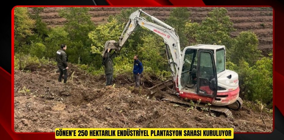Gönen'e 250 hektarlık endüstriyel plantasyon sahası kuruluyor 