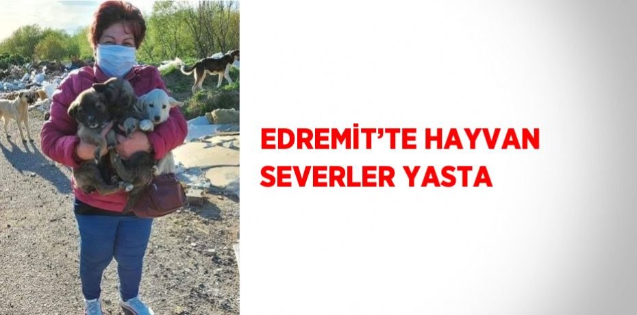 EDREMİT’TE HAYVAN SEVERLER YASTA