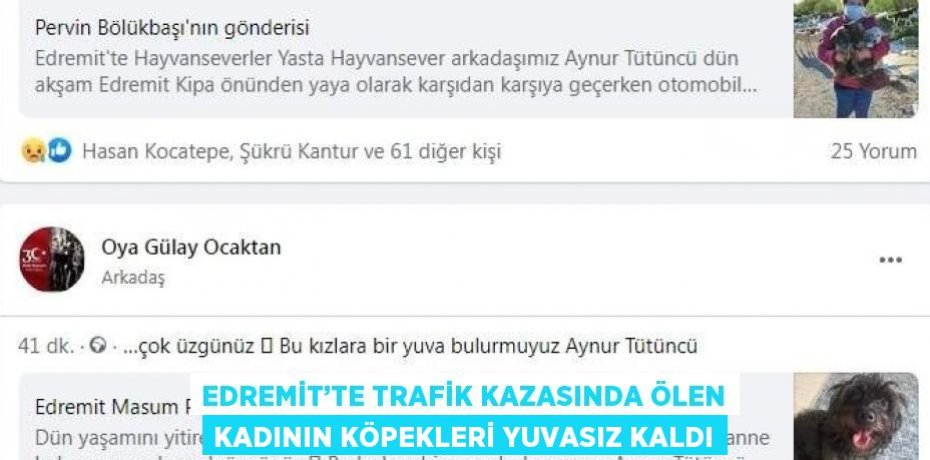 EDREMİT’TE TRAFİK KAZASINDA ÖLEN KADININ KÖPEKLERİ YUVASIZ KALDI