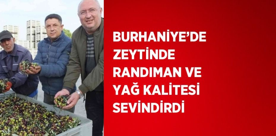 BURHANİYE’DE ZEYTİNDE RANDIMAN VE YAĞ KALİTESİ SEVİNDİRDİ