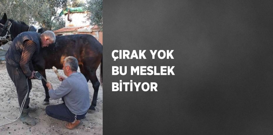 ÇIRAK YOK BU MESLEK BİTİYOR