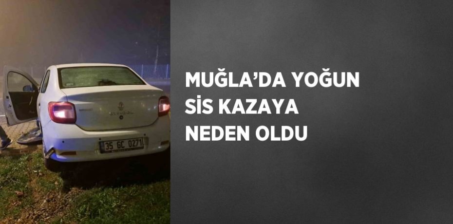 MUĞLA’DA YOĞUN SİS KAZAYA NEDEN OLDU