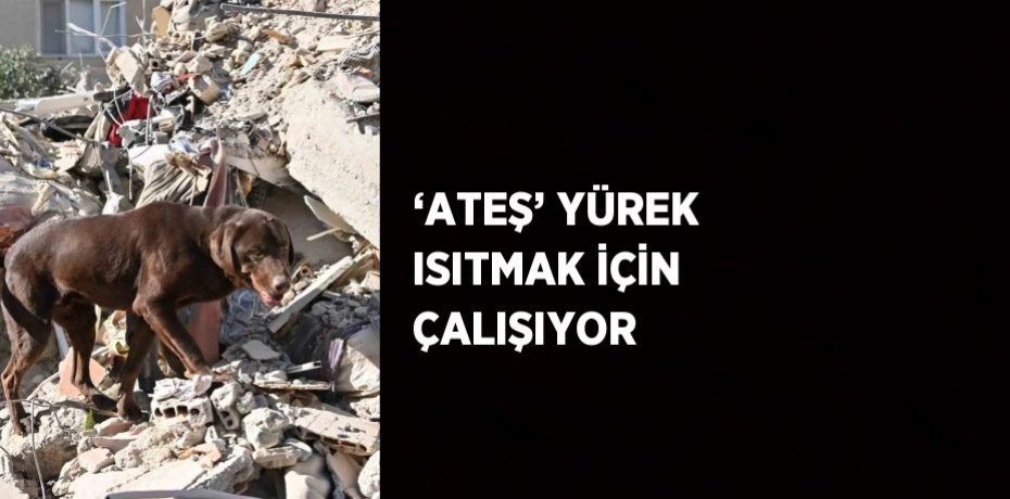 ‘ATEŞ’ YÜREK ISITMAK İÇİN ÇALIŞIYOR