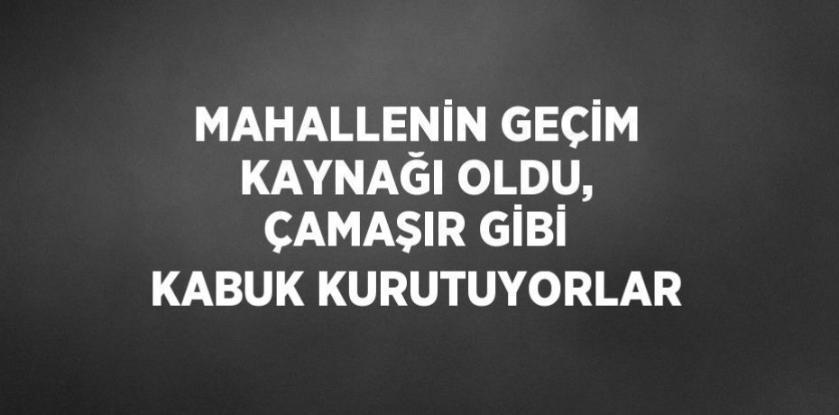 MAHALLENİN GEÇİM KAYNAĞI OLDU, ÇAMAŞIR GİBİ KABUK KURUTUYORLAR