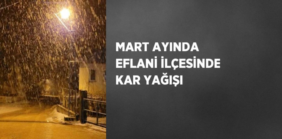 MART AYINDA EFLANİ İLÇESİNDE KAR YAĞIŞI