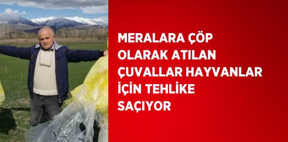 MERALARA ÇÖP OLARAK ATILAN ÇUVALLAR HAYVANLAR İÇİN TEHLİKE SAÇIYOR