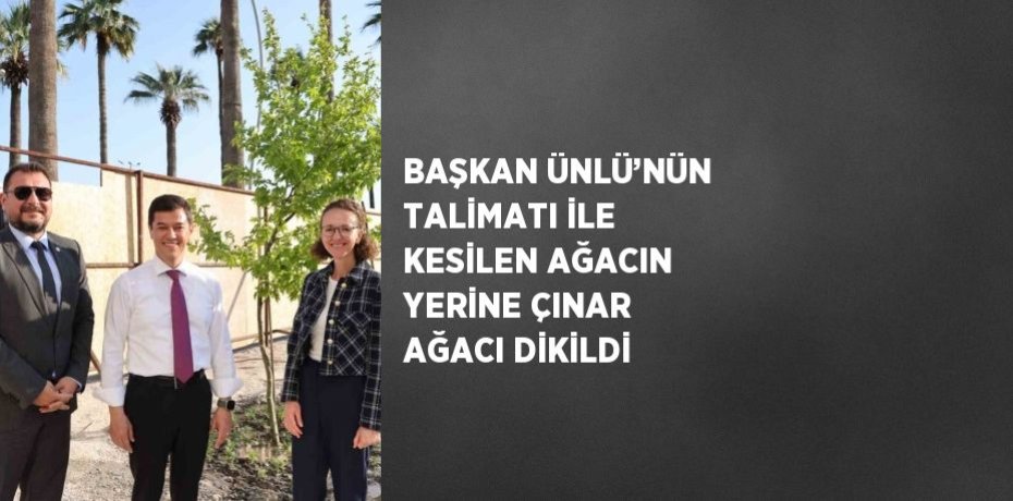 BAŞKAN ÜNLÜ’NÜN TALİMATI İLE KESİLEN AĞACIN YERİNE ÇINAR AĞACI DİKİLDİ