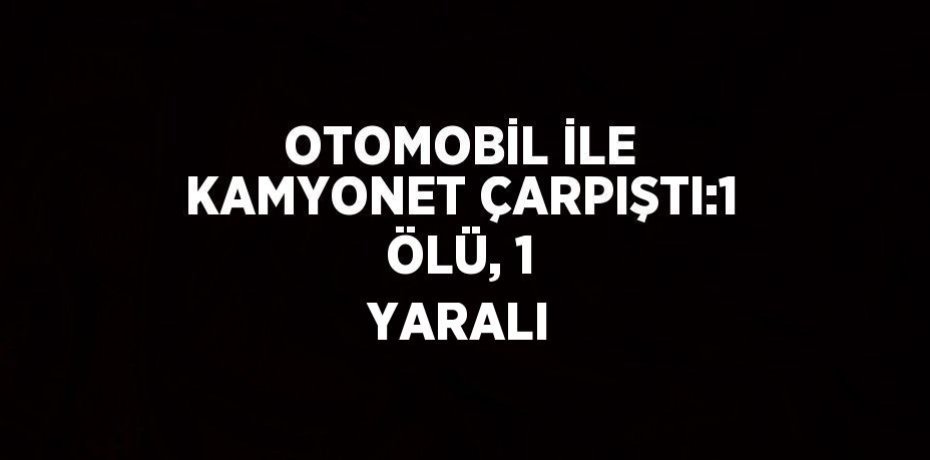 OTOMOBİL İLE KAMYONET ÇARPIŞTI:1 ÖLÜ, 1 YARALI