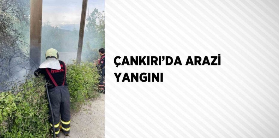 ÇANKIRI’DA ARAZİ YANGINI