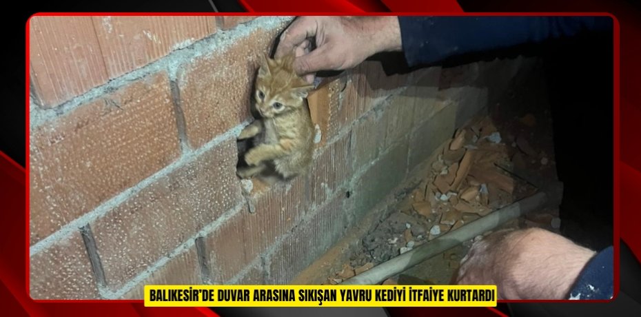  Balıkesir’de duvar arasına sıkışan yavru kediyi itfaiye kurtardı  
