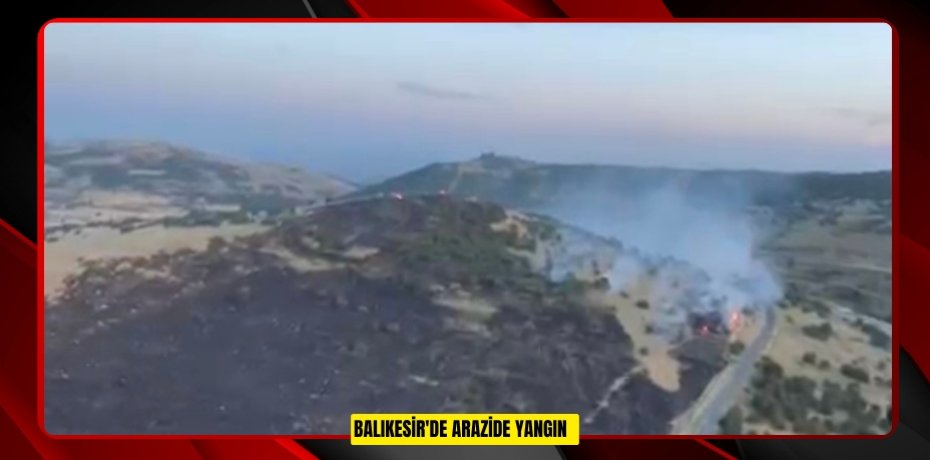 Balıkesir'de arazide yangın  
