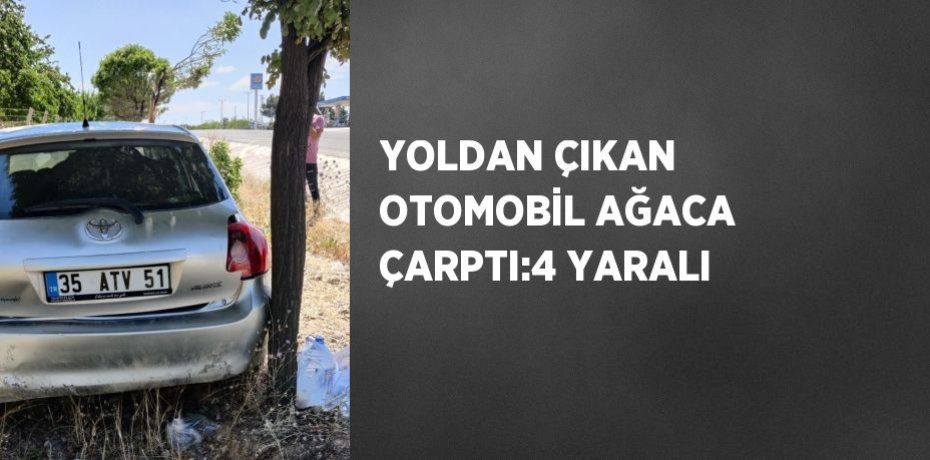 YOLDAN ÇIKAN OTOMOBİL AĞACA ÇARPTI:4 YARALI