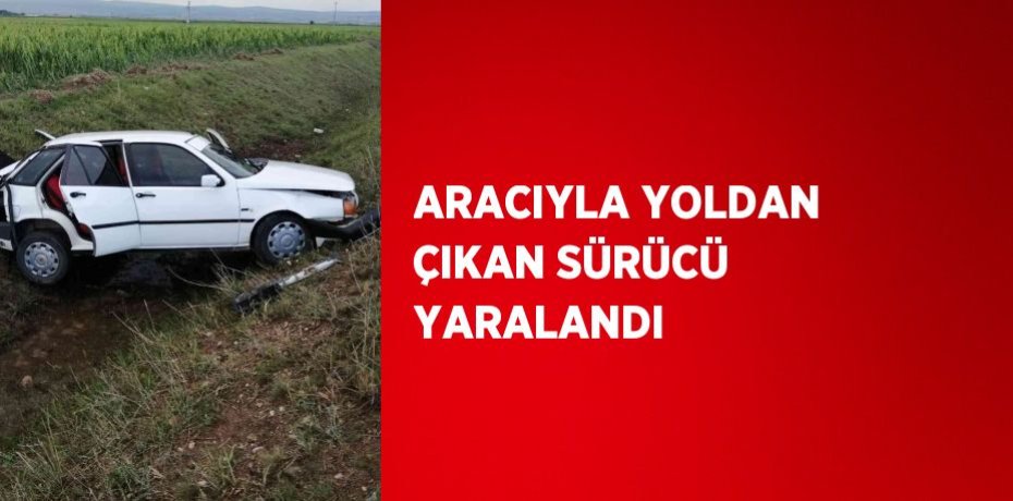 ARACIYLA YOLDAN ÇIKAN SÜRÜCÜ YARALANDI