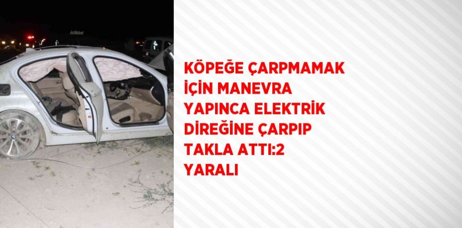 KÖPEĞE ÇARPMAMAK İÇİN MANEVRA YAPINCA ELEKTRİK DİREĞİNE ÇARPIP TAKLA ATTI:2 YARALI