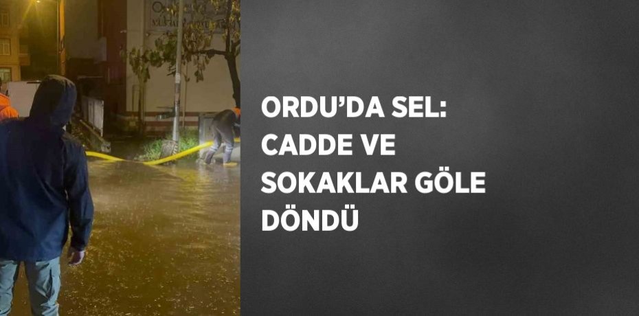 ORDU’DA SEL: CADDE VE SOKAKLAR GÖLE DÖNDÜ