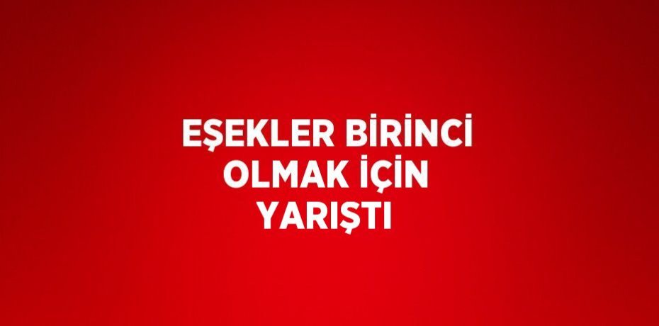 EŞEKLER BİRİNCİ OLMAK İÇİN YARIŞTI
