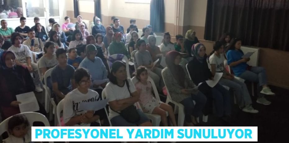 Profesyonel yardım sunuluyor