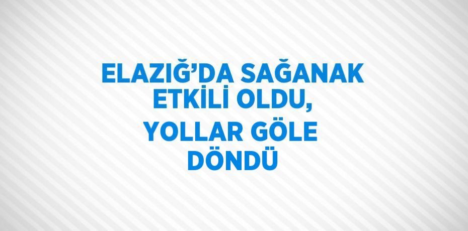 ELAZIĞ’DA SAĞANAK ETKİLİ OLDU, YOLLAR GÖLE DÖNDÜ