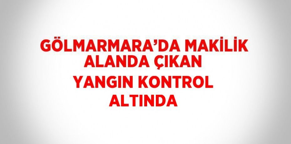 GÖLMARMARA’DA MAKİLİK ALANDA ÇIKAN YANGIN KONTROL ALTINDA