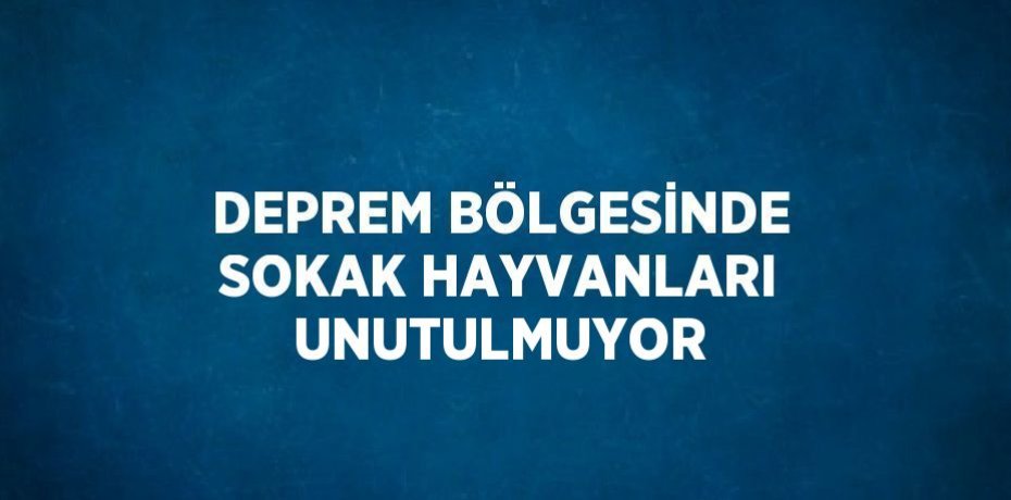 DEPREM BÖLGESİNDE SOKAK HAYVANLARI UNUTULMUYOR