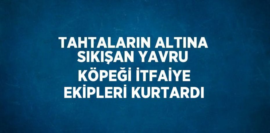 TAHTALARIN ALTINA SIKIŞAN YAVRU KÖPEĞİ İTFAİYE EKİPLERİ KURTARDI