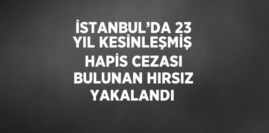 İSTANBUL’DA 23 YIL KESİNLEŞMİŞ HAPİS CEZASI BULUNAN HIRSIZ YAKALANDI