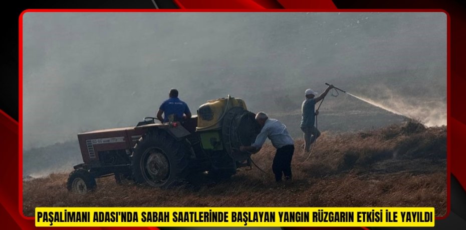 Paşalimanı Adası'nda sabah saatlerinde başlayan yangın rüzgarın etkisi ile yayıldı