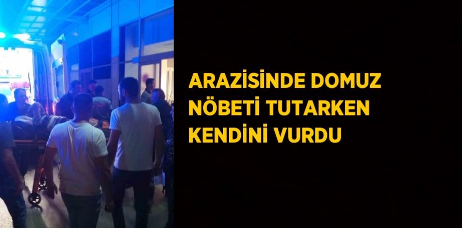ARAZİSİNDE DOMUZ NÖBETİ TUTARKEN KENDİNİ VURDU