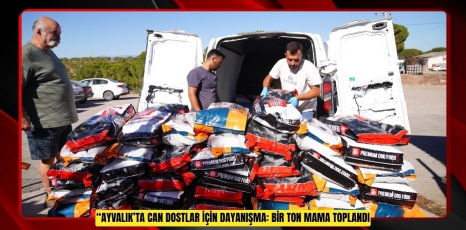 “AYVALIK’TA CAN DOSTLAR İÇİN DAYANIŞMA: BİR TON MAMA TOPLANDI”