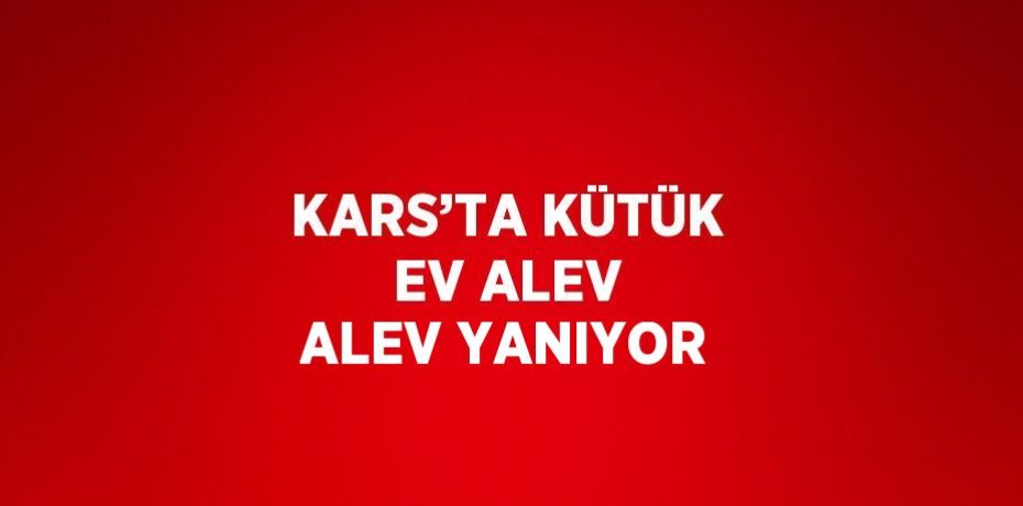 KARS’TA KÜTÜK EV ALEV ALEV YANIYOR