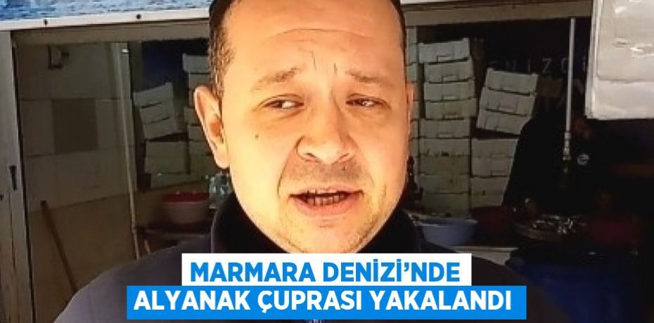 MARMARA DENİZİ’NDE ALYANAK ÇUPRASI YAKALANDI
