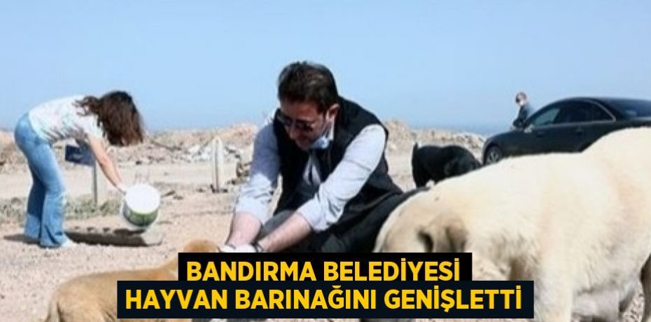 BANDIRMA BELEDİYESİ HAYVAN BARINAĞINI GENİŞLETTİ