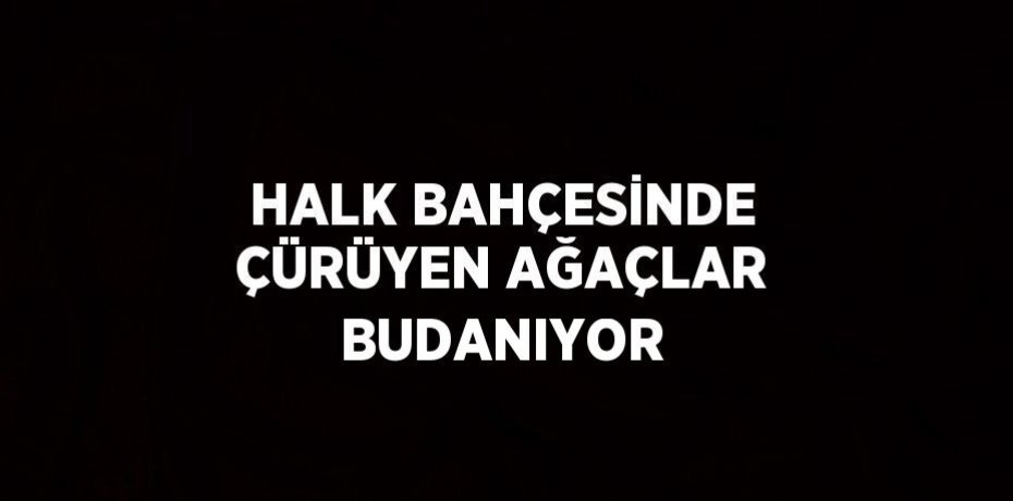 HALK BAHÇESİNDE ÇÜRÜYEN AĞAÇLAR BUDANIYOR
