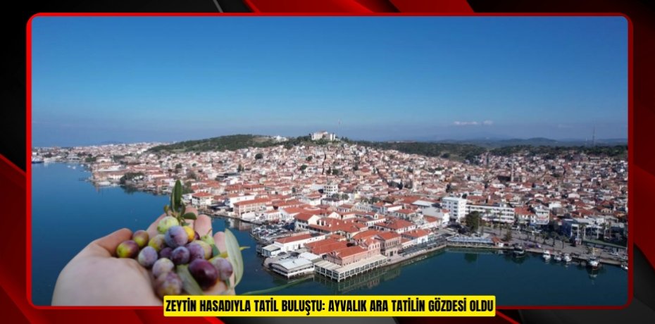 Zeytin hasadıyla tatil buluştu: Ayvalık ara tatilin gözdesi oldu