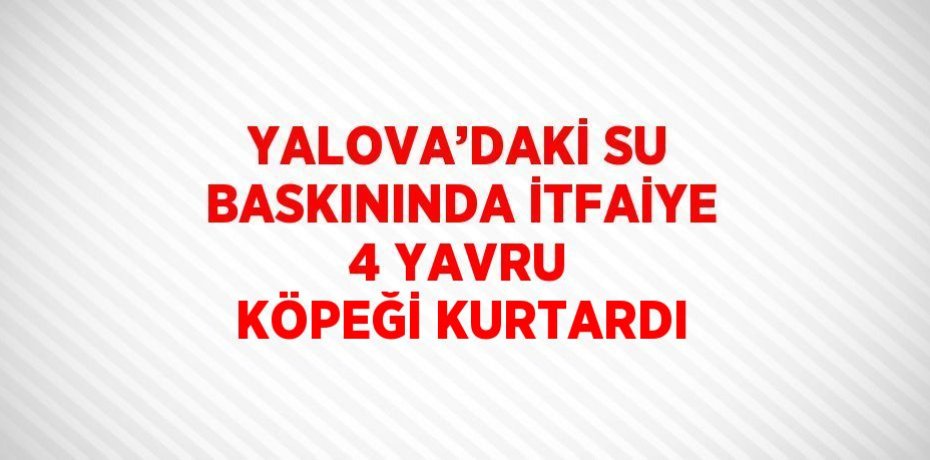 YALOVA’DAKİ SU BASKININDA İTFAİYE 4 YAVRU KÖPEĞİ KURTARDI