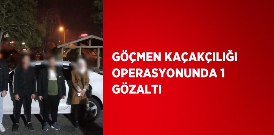 GÖÇMEN KAÇAKÇILIĞI OPERASYONUNDA 1 GÖZALTI