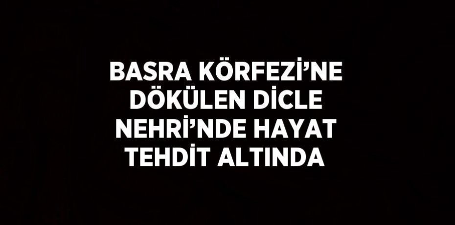 BASRA KÖRFEZİ’NE DÖKÜLEN DİCLE NEHRİ’NDE HAYAT TEHDİT ALTINDA