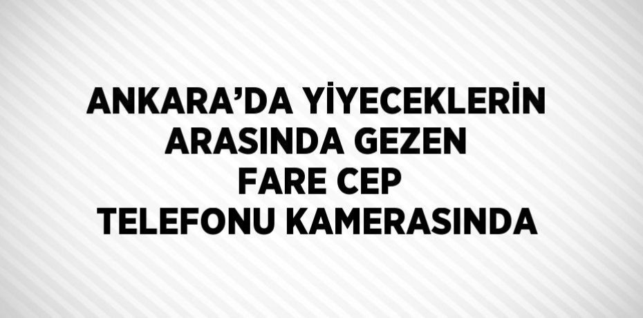 ANKARA’DA YİYECEKLERİN ARASINDA GEZEN FARE CEP TELEFONU KAMERASINDA