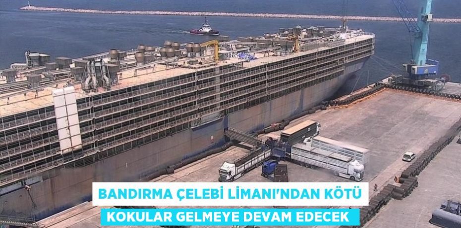Bandırma Çelebi Limanı'ndan kötü kokular gelmeye devam edecek 