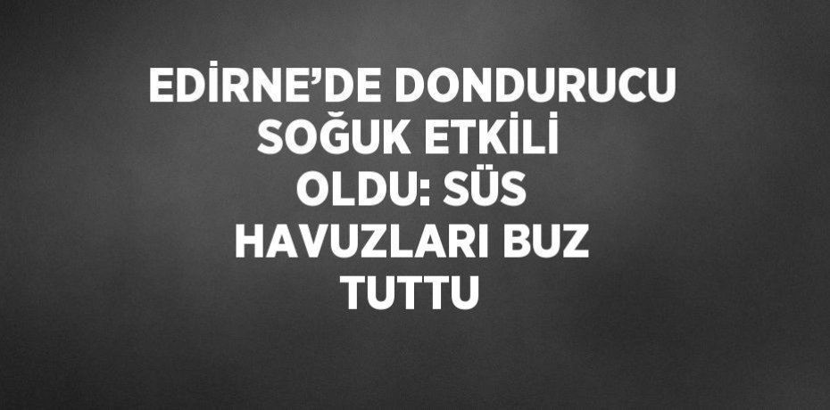 EDİRNE’DE DONDURUCU SOĞUK ETKİLİ OLDU: SÜS HAVUZLARI BUZ TUTTU