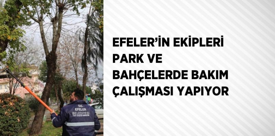 EFELER’İN EKİPLERİ PARK VE BAHÇELERDE BAKIM ÇALIŞMASI YAPIYOR