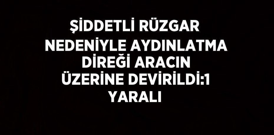 ŞİDDETLİ RÜZGAR NEDENİYLE AYDINLATMA DİREĞİ ARACIN ÜZERİNE DEVİRİLDİ:1 YARALI