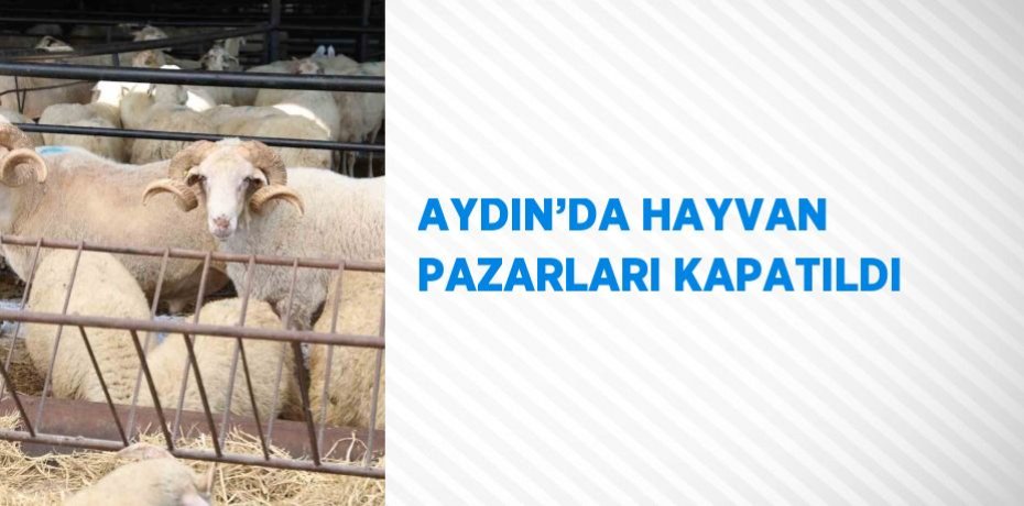 AYDIN’DA HAYVAN PAZARLARI KAPATILDI