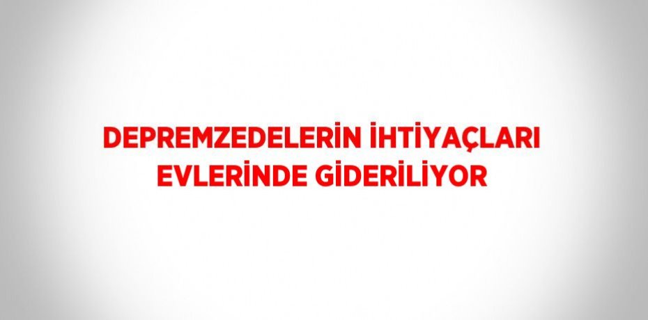 DEPREMZEDELERİN İHTİYAÇLARI EVLERİNDE GİDERİLİYOR