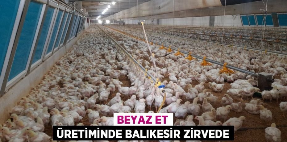 Beyaz et üretiminde Balıkesir zirvede
