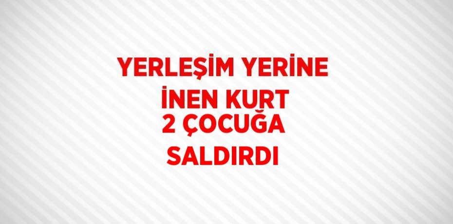 YERLEŞİM YERİNE İNEN KURT 2 ÇOCUĞA SALDIRDI