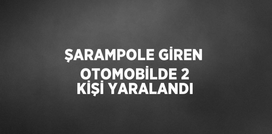 ŞARAMPOLE GİREN OTOMOBİLDE 2 KİŞİ YARALANDI